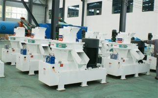 生物質(zhì)資源、生物質(zhì)發(fā)電現(xiàn)狀及前景