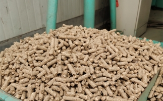 在燃燒時，水分大的生物質(zhì)顆粒會出現(xiàn)哪些問題？