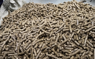 鋸末顆粒機的顆粒燃料比煤炭貴，為什么還有那么多人用？
