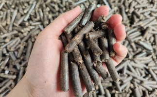 生物質(zhì)顆粒燃料公司前景怎么樣，木屑顆粒機(jī)的顆粒燃料賣給誰的？