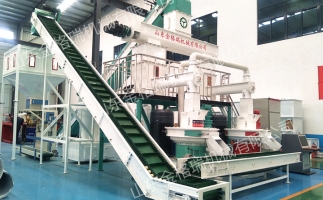 2023年木屑顆粒機(jī)生產(chǎn)生物質(zhì)燃料顆粒行情、利潤怎么樣，投資多少大約？