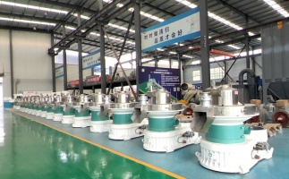 新手開(kāi)顆粒廠，該選小型還是大型木屑顆粒機(jī)？